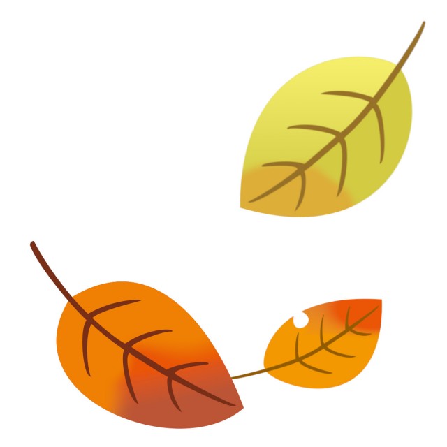 シンプルな落ち葉のイラスト 秋の素材 無料イラスト素材 素材ラボ