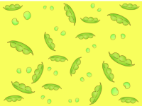 枝豆のパターン