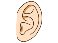 人間の耳のシンプ…