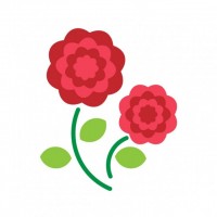 赤い花　カーネー…