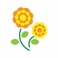 黄色い花　バラ