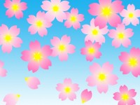 桜の花模様壁紙画…