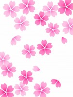 桜の花模様壁紙画…