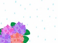 紫陽花と雨の背景…