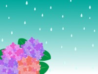 紫陽花と雨の背景…
