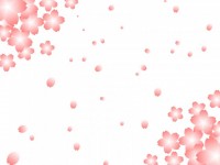 桜の花びらが舞っ…