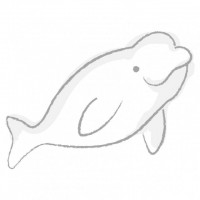 白イルカ01　横…
