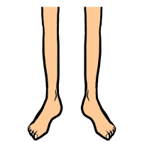 体の部位　脚