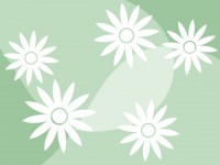 白いお花模様の壁…