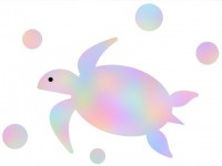 海亀の壁紙画像シ…