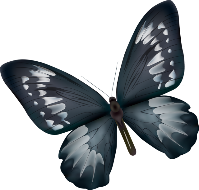 最も人気のある かっこいい 和風 蝶 イラスト 100 ベストミキシング写真 イラストレーション