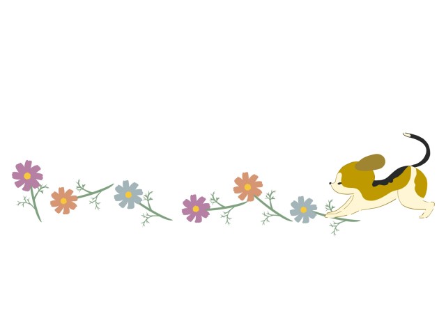 コスモスの花とビーグル犬のラインイラスト