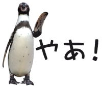 ペンギンの時間