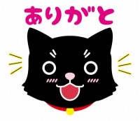 むすっとした黒猫…